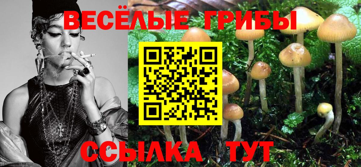 Псилоцибиновые грибы прущие грибы Серов